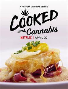 法医秦明之无声的证词速看版