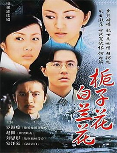 杀手的智力:狮子VS鬣狗