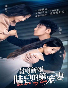 麒麟特战队之机甲核心